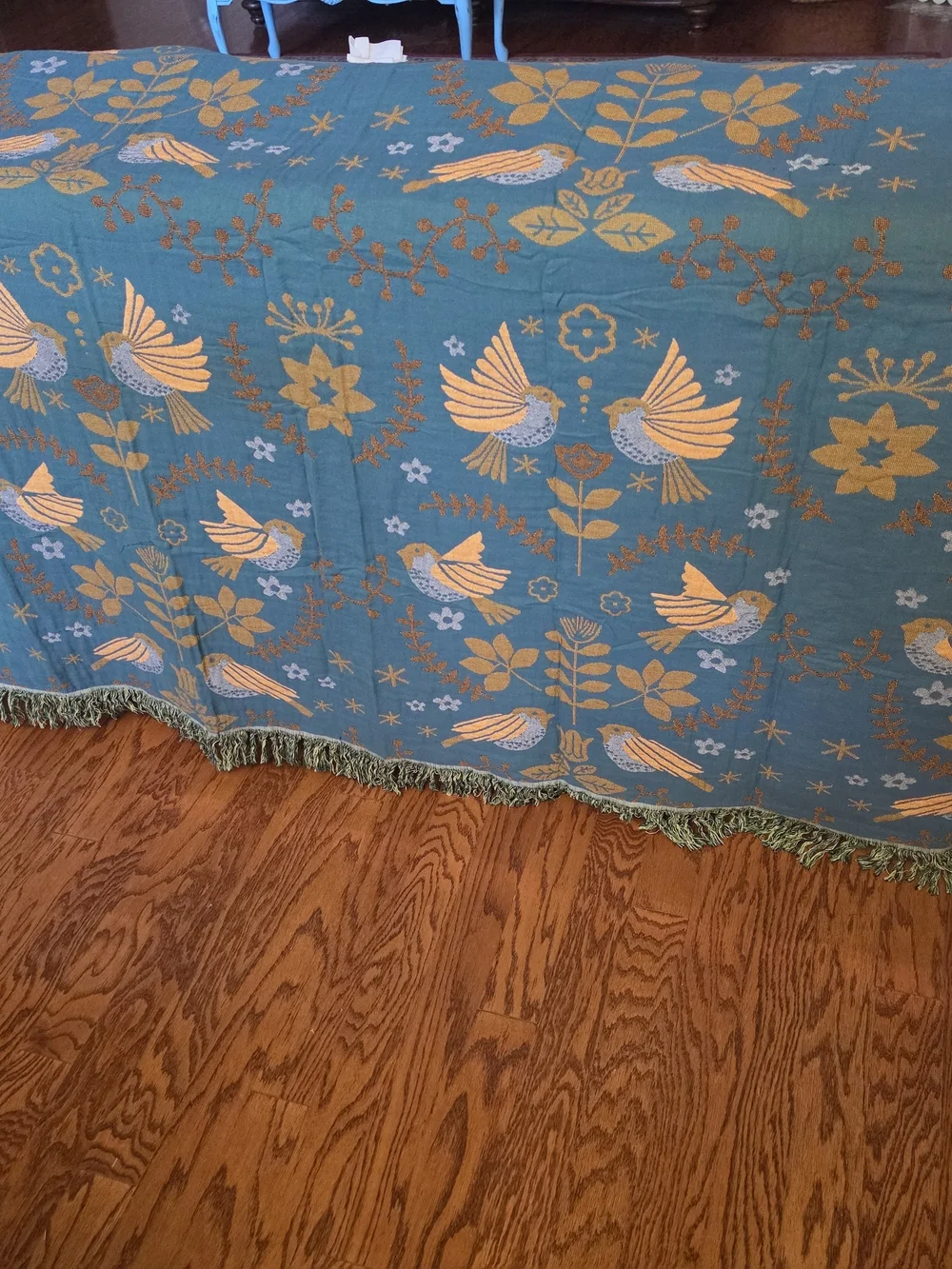 N/A gorgeous reversible